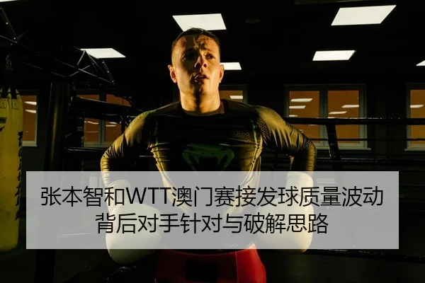 张本智和WTT澳门赛接发球质量波动背后对手针对与破解思路